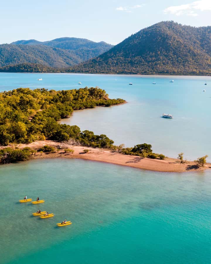 Whitsundays: Water Bike Eco-Tour with Guide - Bike Boat Up vs Bike Boat Rec: pick your effort level