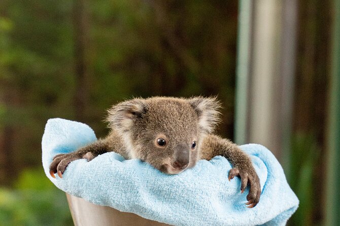 WILD LIFE Sydney Entrance Ticket - Inside the nine habitats: aviary, butterfly house, and creepy-crawlies