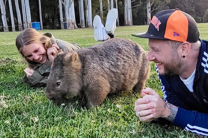 WILD Wombat and Kangaroo Day Tour, All Inclusive - Southern Coast Views: Sublime Point Lookout and Macquarie Pass