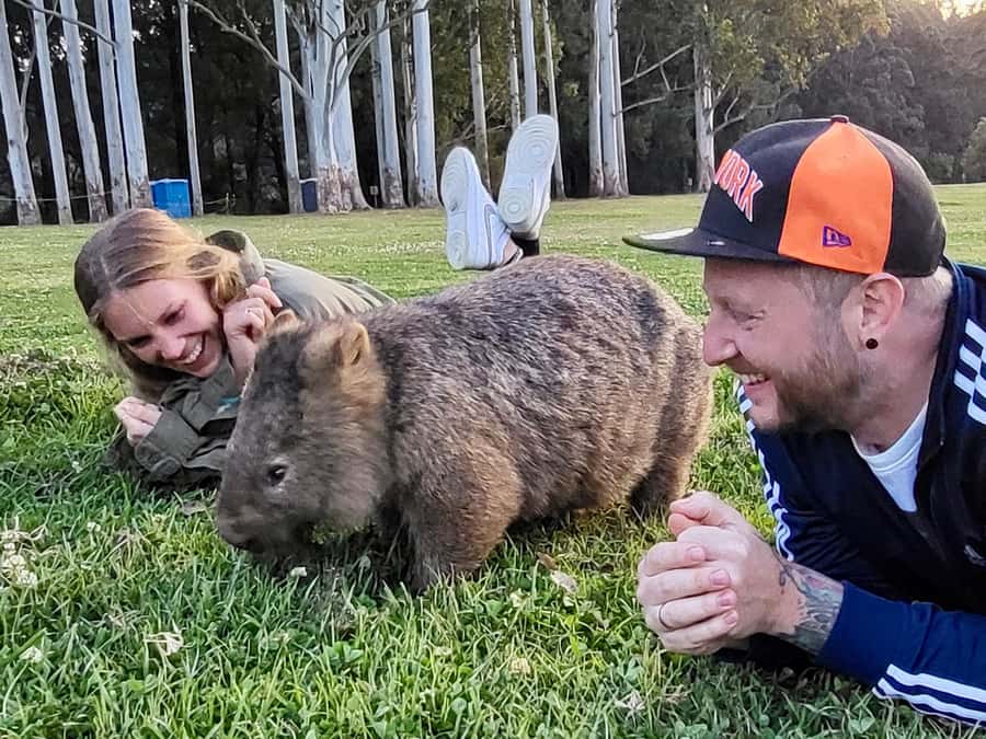 WILD Wombats and Kangaroo Experience, All Inclusive, Sydney - Pickup and Ride Comfort: Find the Small White Bus and Settle In