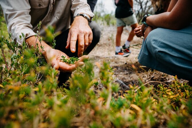 Wild Yarnbala - Water divining: trying an ancient skill for yourself