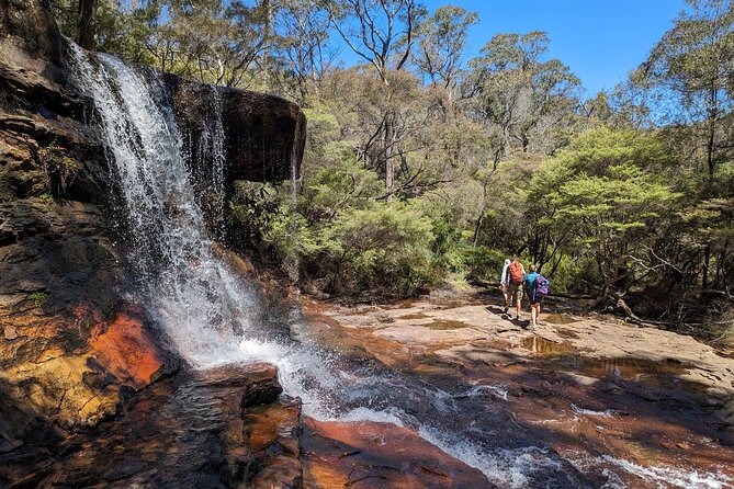 Wilderness, Waterfalls, Three Sisters BLUE MOUNTAINS PRIVATE TOUR - Charles Darwin Walk: A Short Stop With Real Historical Texture
