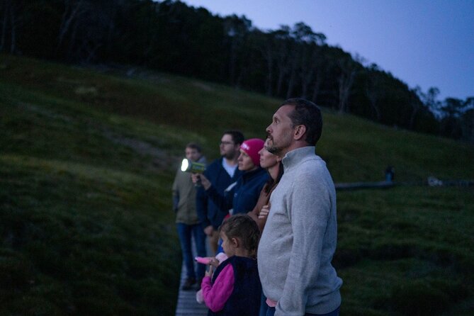Wildlife Night Spotting at Cradle Mountain - Ronny Creek carpark to the Mount Kate Hut area: torches, spotlights, and quiet walking