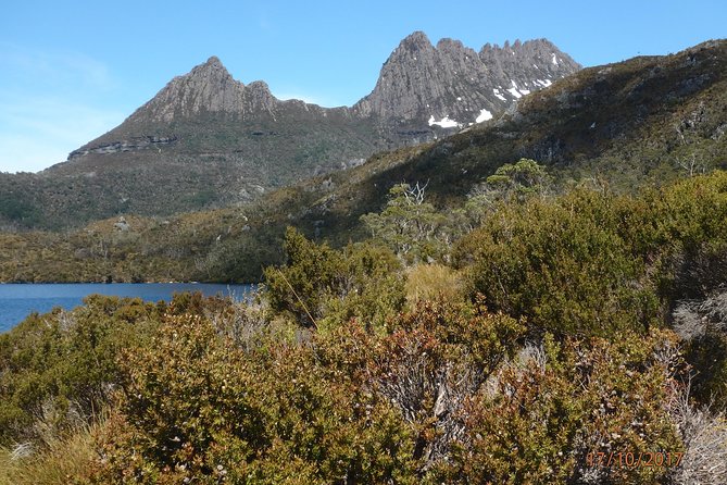 Wildlife Night Spotting at Cradle Mountain - Waldheim Chalet spotlighting: scanning from the road before heading back