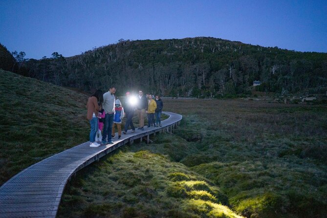 Wildlife Night Spotting at Cradle Mountain - Getting picked up at McDermott’s Coaches (no-stress start)