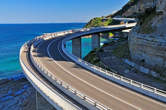 Wildlife, Wine & Waves – Epic South Coast Adventure from Sydney - Key things I’d plan around before you go