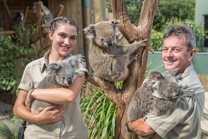 Wildlife, Wine & Waves – Epic South Coast Adventure from Sydney - Coast highlights: Sea Cliff Bridge and the stops built for photos