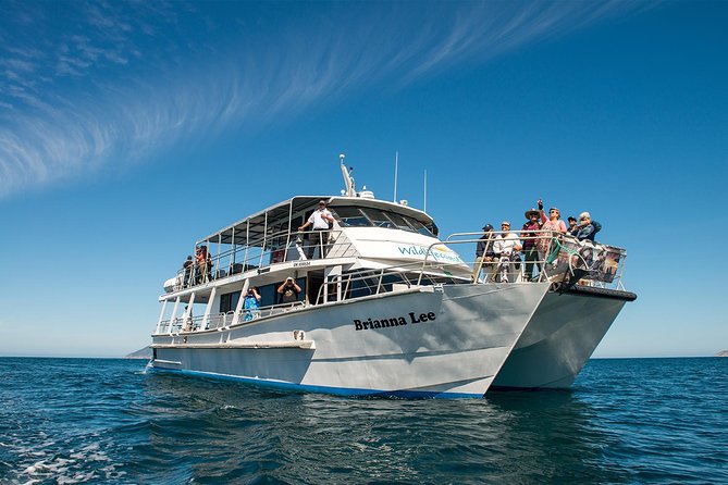 Wilsons Prom Whale Cruise - Price and value at $182.90 per person