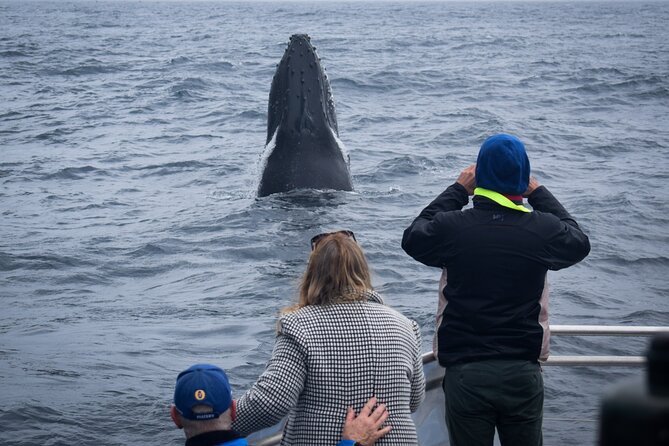Wilsons Prom Whale Cruise - The food part: morning tea and lunch at sea