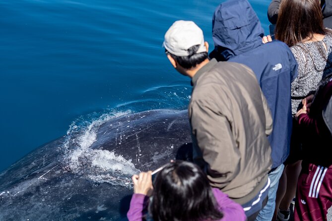 Wilsons Prom Whale Cruise - Stop 1: Wilsons Promontory National Park and the first whale search