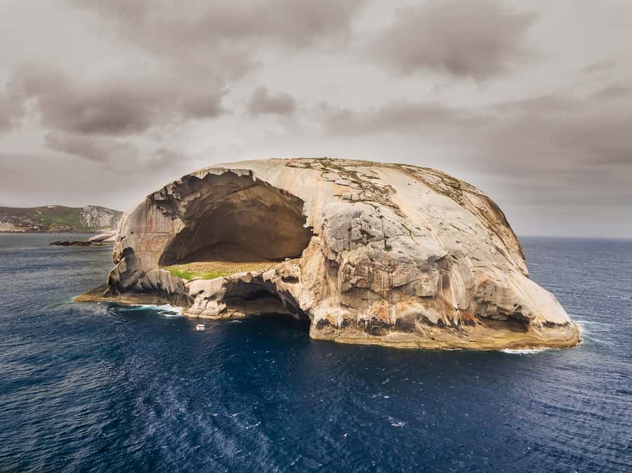 Wilsons Promontory: Afternoon Wilderness Cruise - Key highlights worth booking for