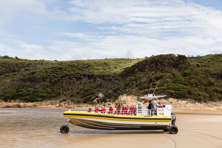 Wilsons Promontory: Afternoon Wilderness Cruise - Wilsons Promontory in a time window: 150 minutes that still feels big
