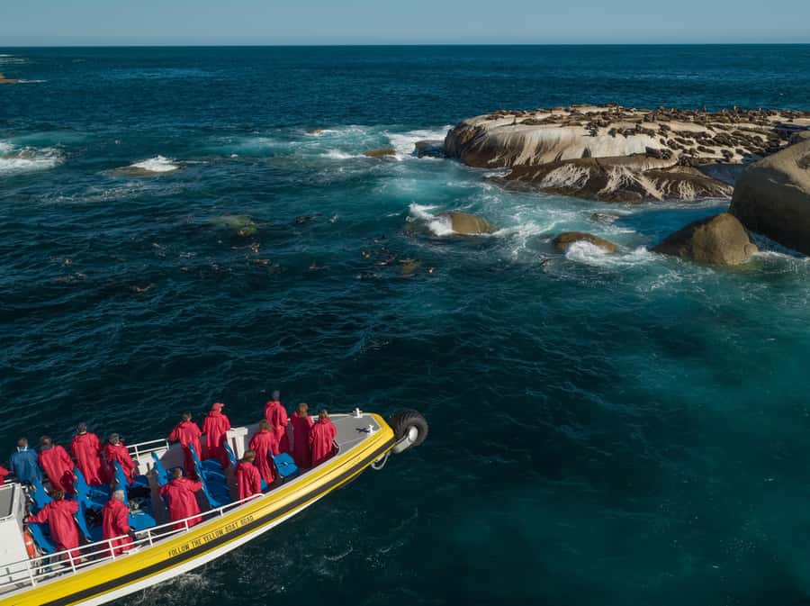 Wilsons Promontory: Afternoon Wilderness Cruise - The amphibious boat advantage in Bass Strait