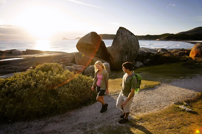 Wilsons Promontory Day Trip from Melbourne - Tidal River: the wildlife walk at the old airfield