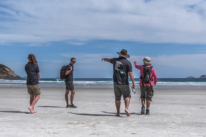 Wilsons Promontory Day Trip from Melbourne - Getting to the Prom: pickup, coach comfort, and the long ride reality