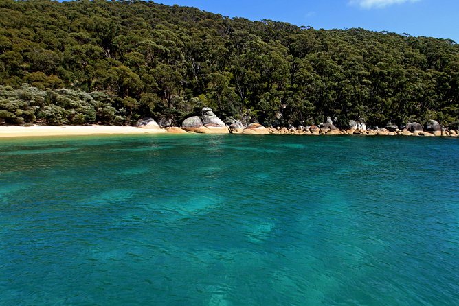 Wilsons Promontory Full Day Cruise - Live Commentary Makes the Coast Make Sense
