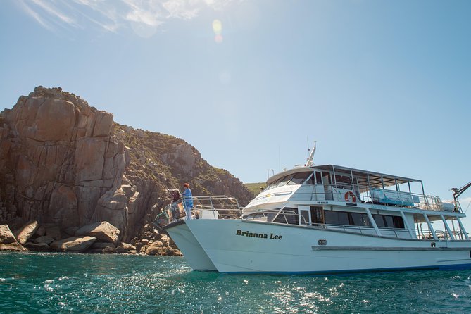 Wilsons Promontory Full Day Cruise - Food Included All Day: Lunch, Tea, Snacks, and What to Budget