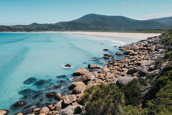 Wilsons Promontory Hiking Day Tour - 8 Person Max Small Group - Why Wilsons Promontory in one day feels so satisfying