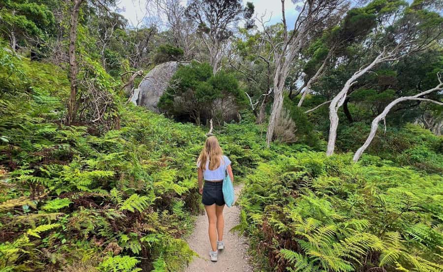 Wilson's Promontory National Park Eco Tour From Melbourne - Gippsland break time: use it like a local
