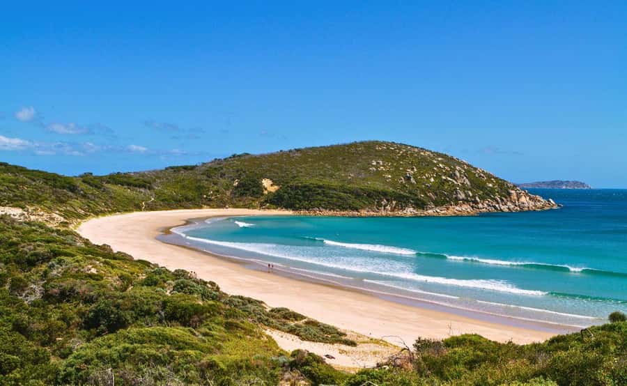 Wilson's Promontory National Park Eco Tour From Melbourne - Wilsons Promontory first: guided walking and big coastal views