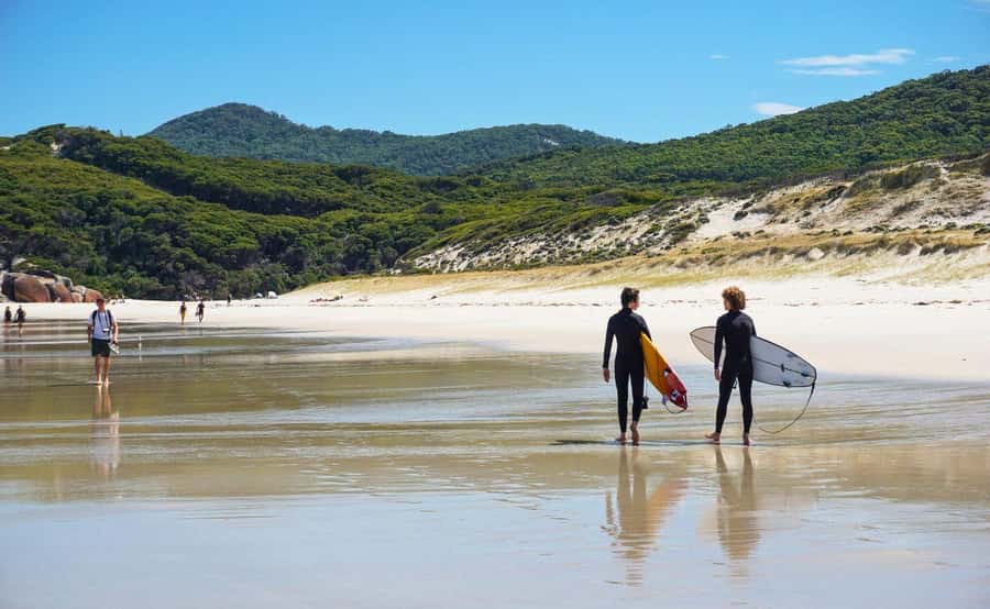 Wilson's Promontory National Park Eco Tour From Melbourne - Small-group touring: why max 24 is more than a number