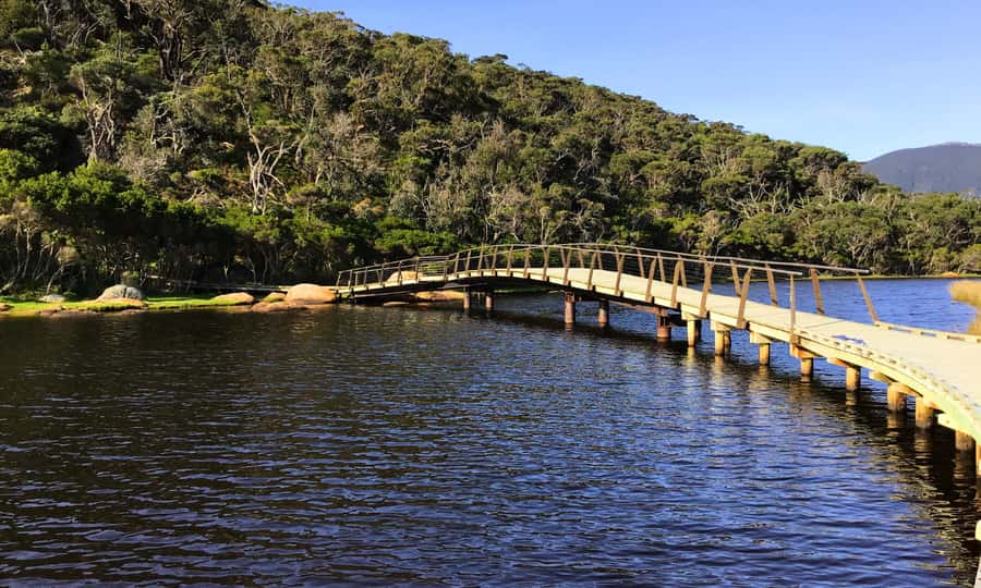 Wilsons Promontory National Park Full-Day Eco Tour - Lilly Pilly Gully: where wildlife watching becomes part of the walk