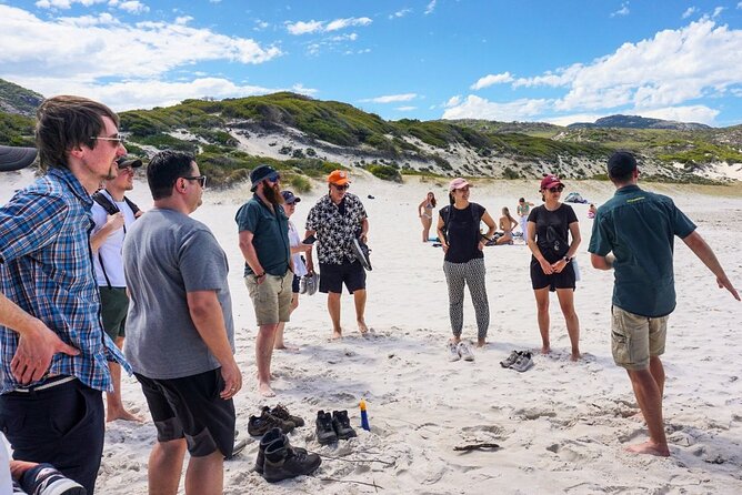 Wilson's Promontory Small Group Eco Tour from Melbourne - Pickup, WiFi, and a small-group eco vibe (without over-promising)
