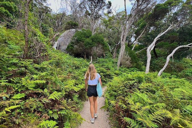Wilson's Promontory Small Group Eco Tour from Melbourne - Mount Bishop walking track: where the effort turns into wide views