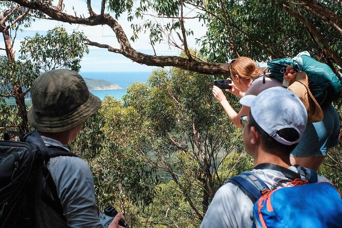Wilson's Promontory Small Group Eco Tour from Melbourne - Wildlife walk at the former airfield: dusk chances for wombats