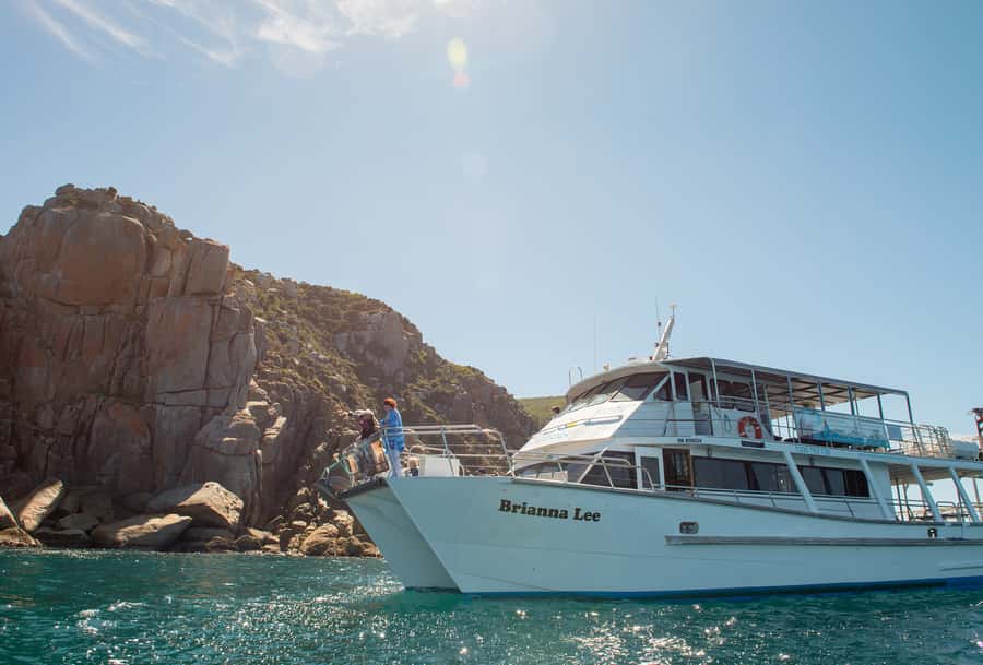 Wilsons Promontory: Whale Spotting Cruise with Lunch - Morning tea, tea and coffee, and a homemade lunch at sea
