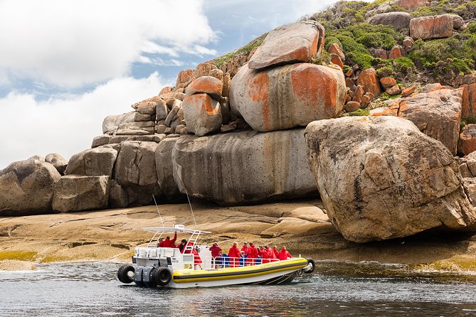Wilsons Promontory Wilderness Cruise from Tidal River - Key highlights worth aiming for