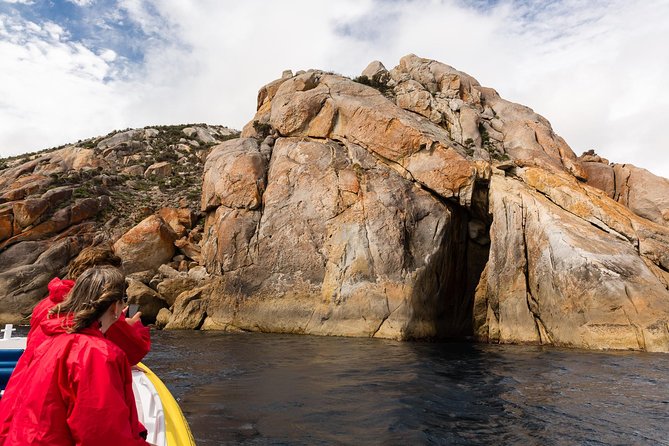 Wilsons Promontory Wilderness Cruise from Tidal River - Wildlife spotting: seals first, then dolphins and whales if the day cooperates
