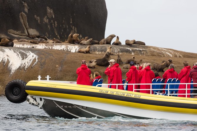 Wilsons Promontory Wilderness Cruise from Tidal River - Staying warm and reducing seasickness: jackets, ginger tablets, and rough-day expectations