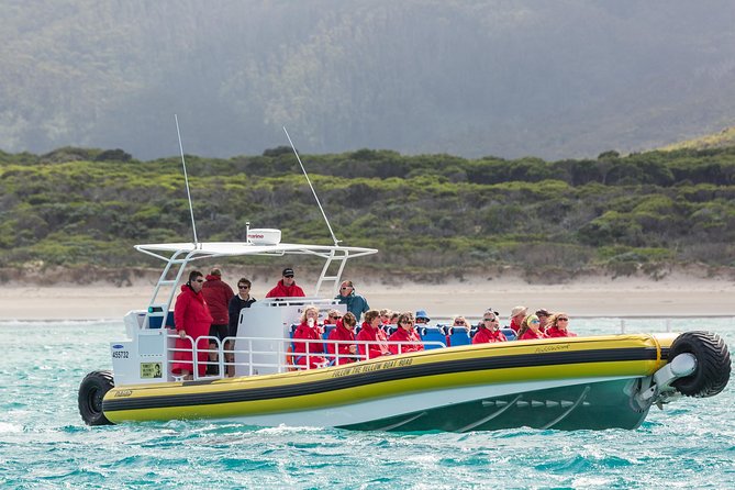 Wilsons Promontory Wilderness Cruise from Tidal River - Duration, group vibe, and how the day actually flows