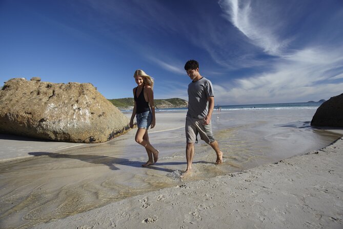 Wilsons Promontory Wilderness Day Tour - The 3-Hour Drive Each Way: Comfort, Timing, and a Reality Check