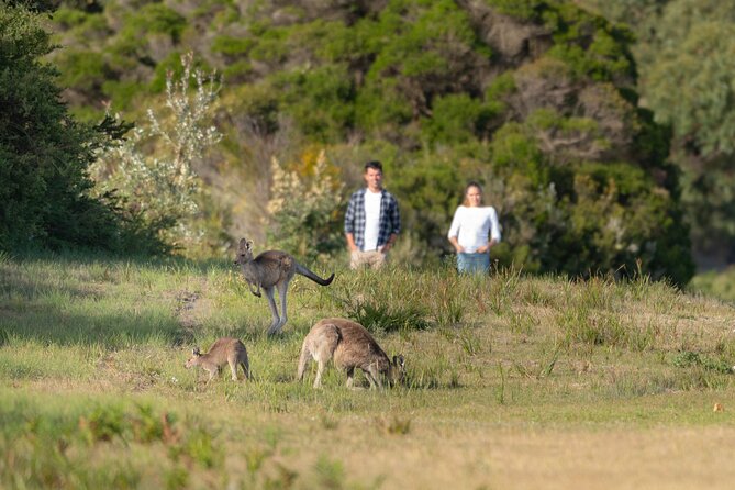 Wilsons Promontory Wilderness Day Tour - Glennie Lookout: First Big Views Without a Big Commitment