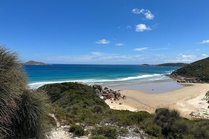 Wilsons Promontory Wilderness Day Tour - Choosing Your Hike: Mt Oberon/Mt Bishop vs Lilly Pilly Gully
