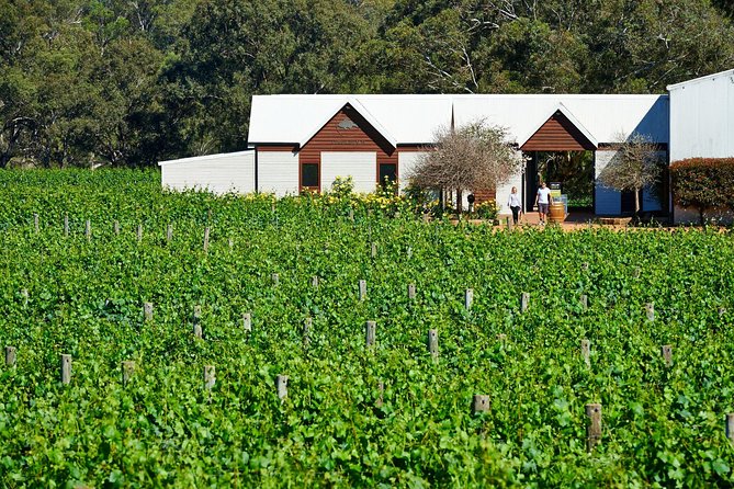 Wine 101- Wine Education Classes - The starting point in Baskerville, and how the morning is paced