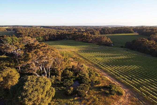 Wine and Chocolate Bonbon Tasting in Margaret River - Key highlights you’ll care about