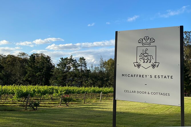 Wine & Cheese Tasting Experience in Hunter Valley - Cheese pairings: artisan flavors that actually follow the wine