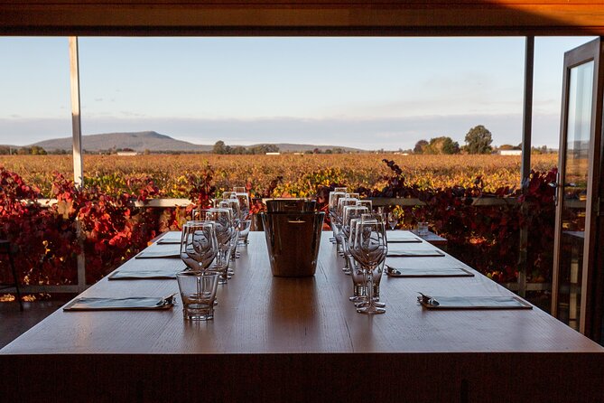 Wine Tasting Experience - Your 45-Minute Flow: How the Tasting Usually Plays Out