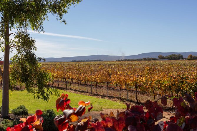Wine Tasting Experience - The Hosts Make It: Fiona, Katie, Mel, Sam, Simon, and More