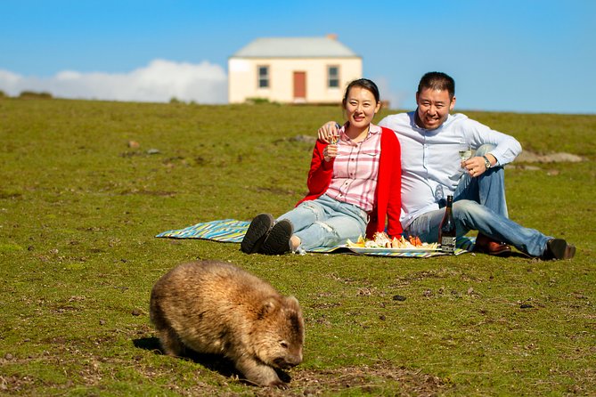 Wineglass Bay And Maria Island Wildlife Scenic Flight From Hobart - Key highlights to know before you go