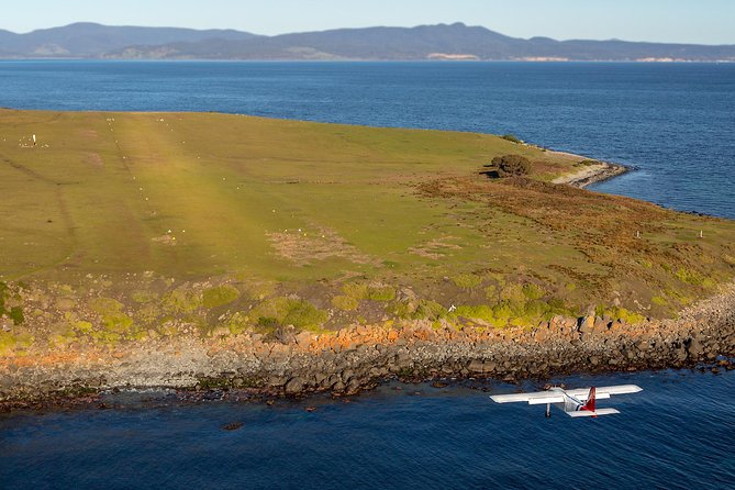 Wineglass Bay And Maria Island Wildlife Scenic Flight From Hobart - Fossil Cliffs shellfish beds: a quick nature-history win