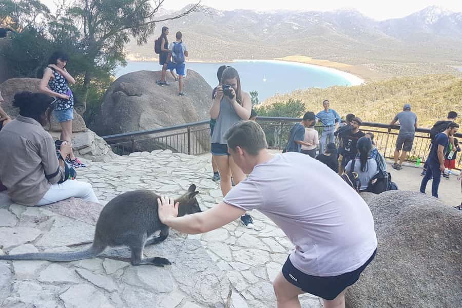 Wineglass Bay & Freycinet National Park Day Trip from Hobart - Key Highlights You’ll Actually Feel During the Day Trip