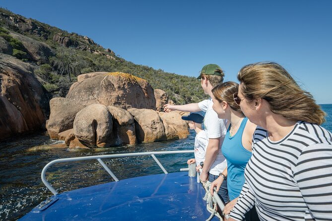 Wineglass Bay Shared Cruise and Walking Tour - Why this Wineglass Bay option works when you want both views and comfort