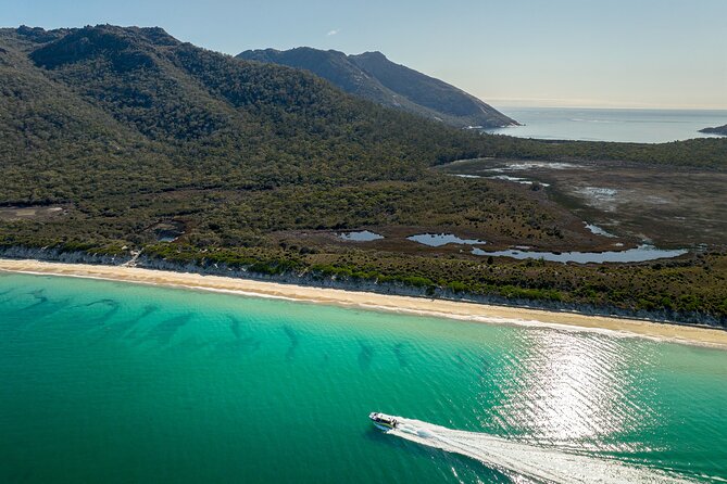 Wineglass Bay Shared Cruise and Walking Tour - Returning to Hazards Beach: why timing beats sprinting