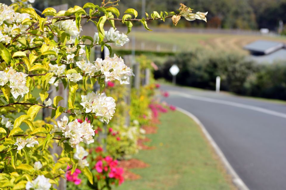 Winery Tour and Tasting - Price and Value: Why $24 Can Feel Like a Fair Deal