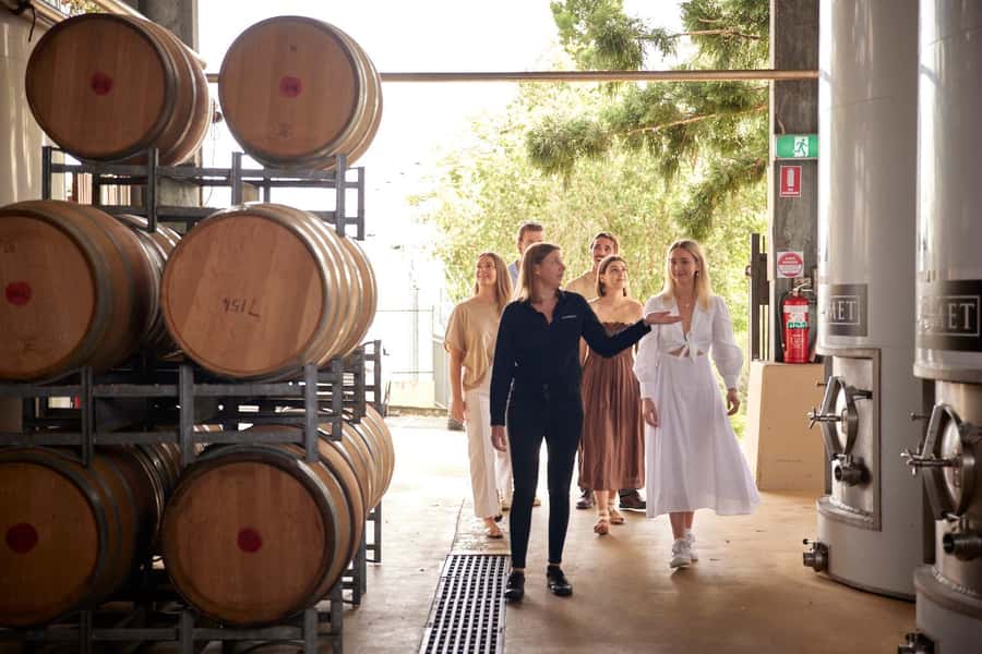 Winery Tour and Tasting - The 90-Minute Flow: Tour First, Tasting Second