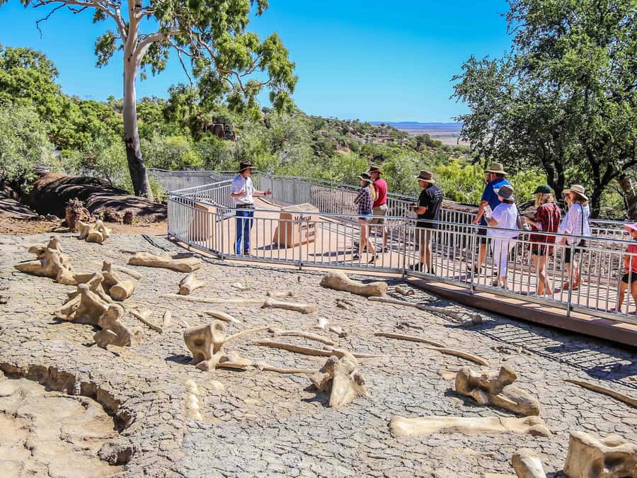 Winton: Age of Dinosaurs Museum Half Day Guided Transfer - Key highlights worth planning around